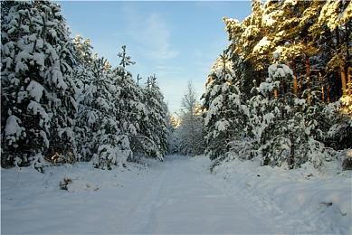 《永无止境》故事预告 9月14日发售