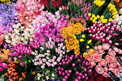 《匹诺曹的谎言》开发组专访